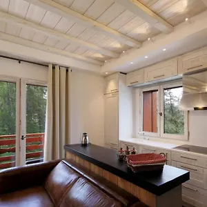 3 Pièces De Grand Standing Aux Pieds Des Pistes Appartement